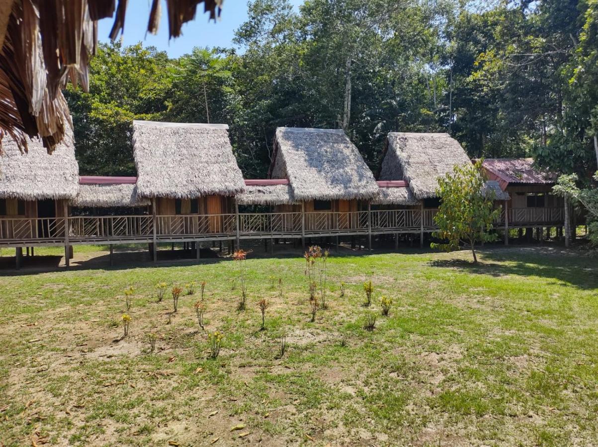 Intillama Jungle Lodge Paucarpata  Esterno foto
