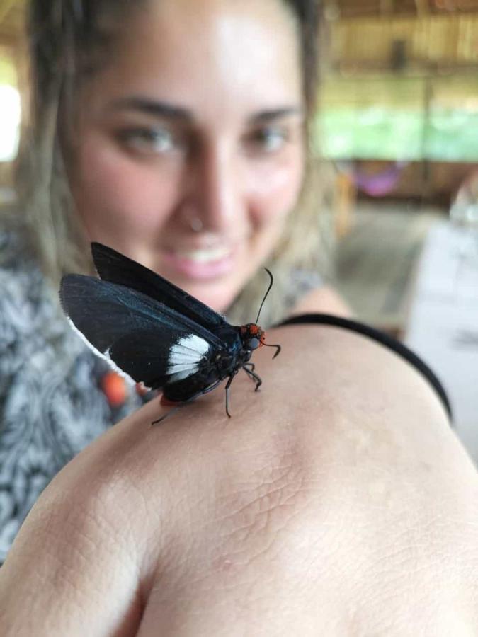 Intillama Jungle Lodge Paucarpata  Esterno foto