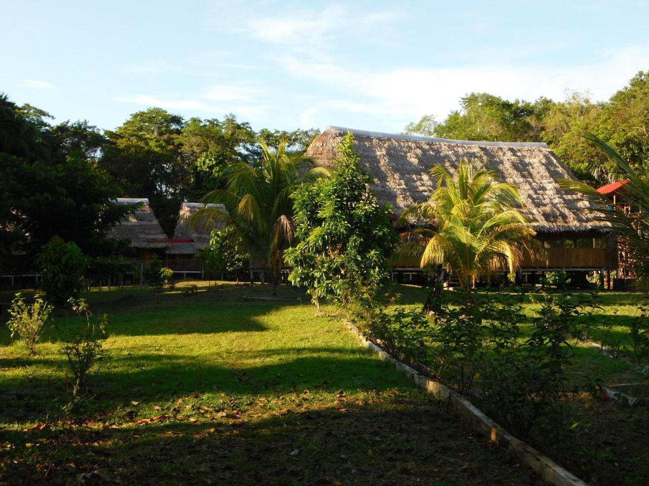 Intillama Jungle Lodge Paucarpata  Esterno foto
