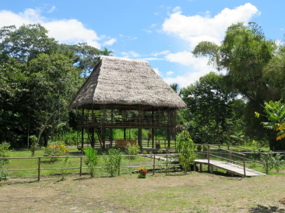 Intillama Jungle Lodge Paucarpata  Esterno foto